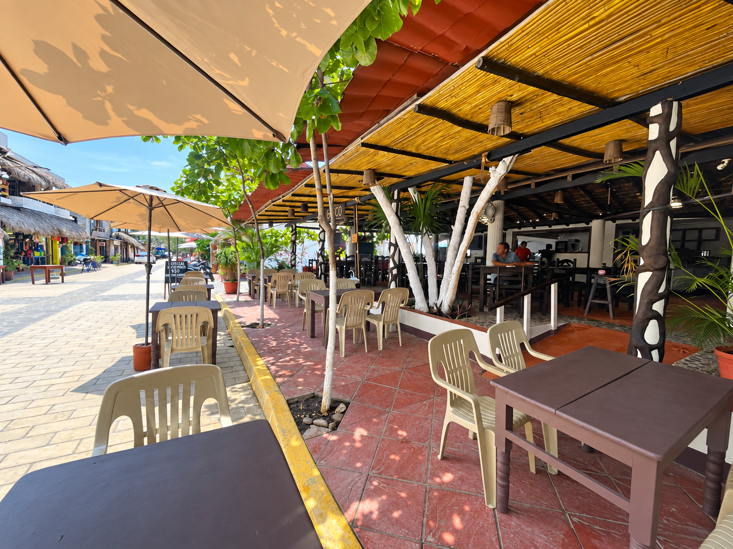 Bacco Zipolite 7