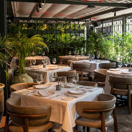 Restaurant Harry's Polanco 7