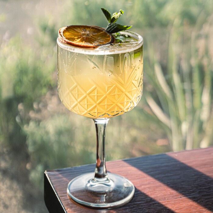 Gin Gin Cibeles 14