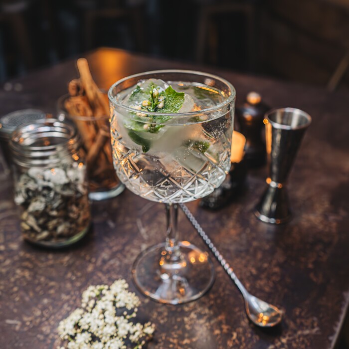 Gin Gin Cibeles 50