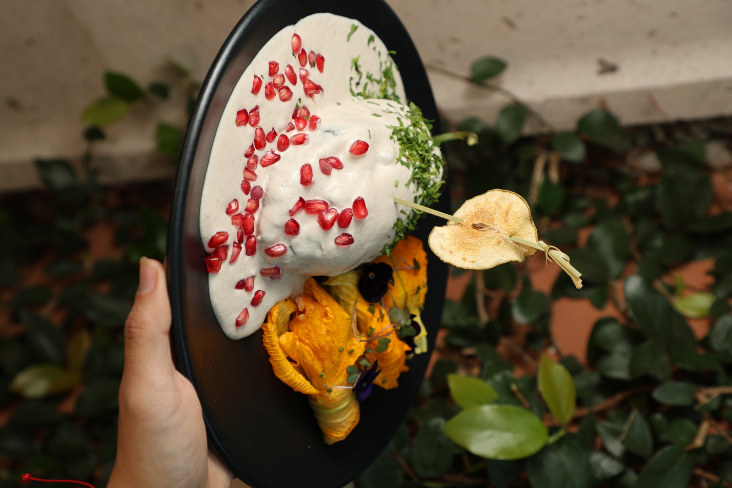 Restaurant Il Forno Morelia - foto 2